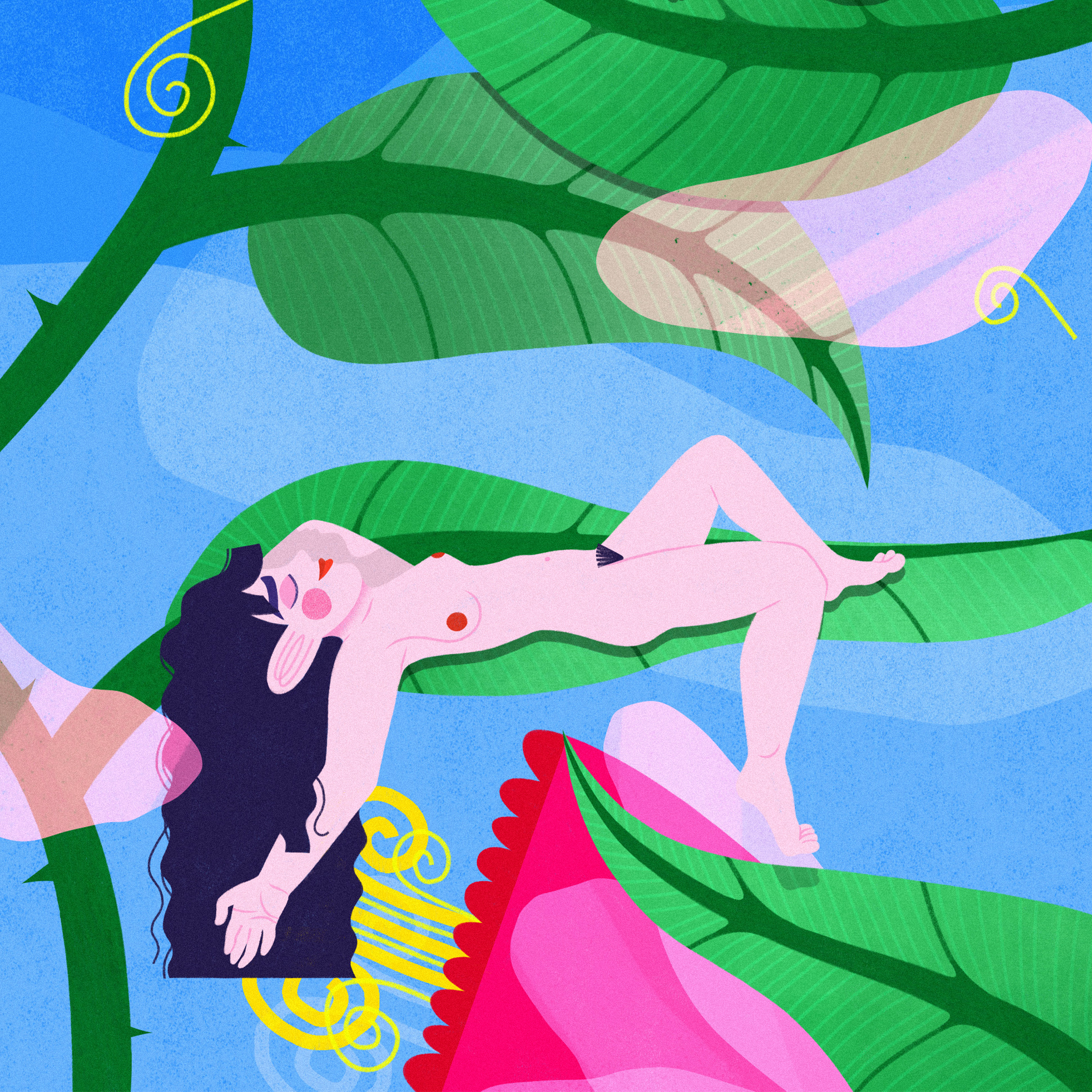 Fées Jasmin – Image 2