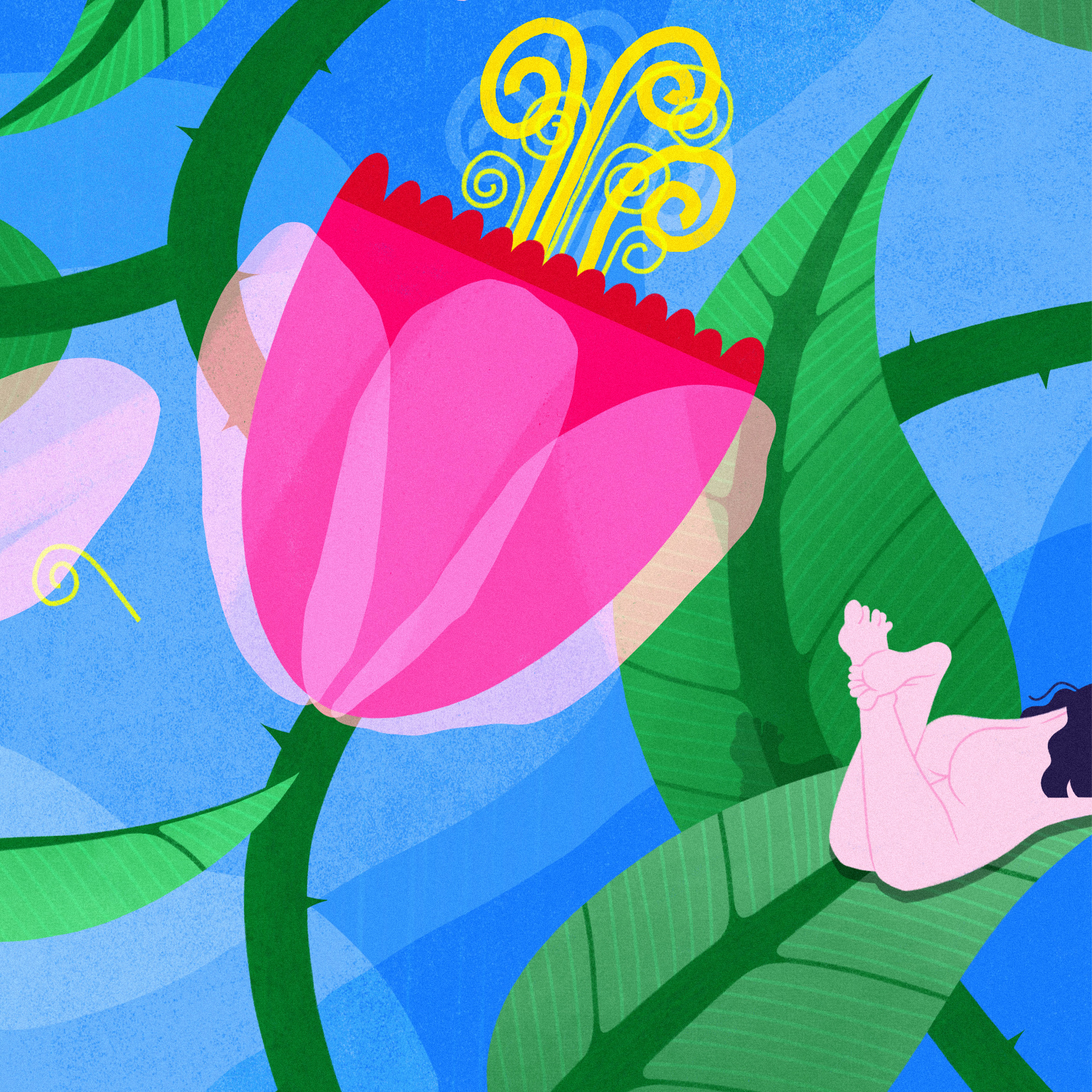 Fées Jasmin – Image 4