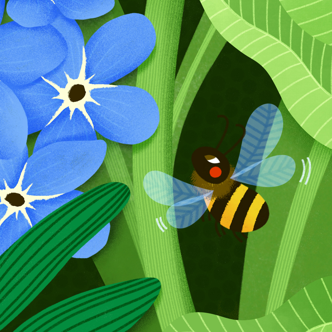 Printemps – Image 4